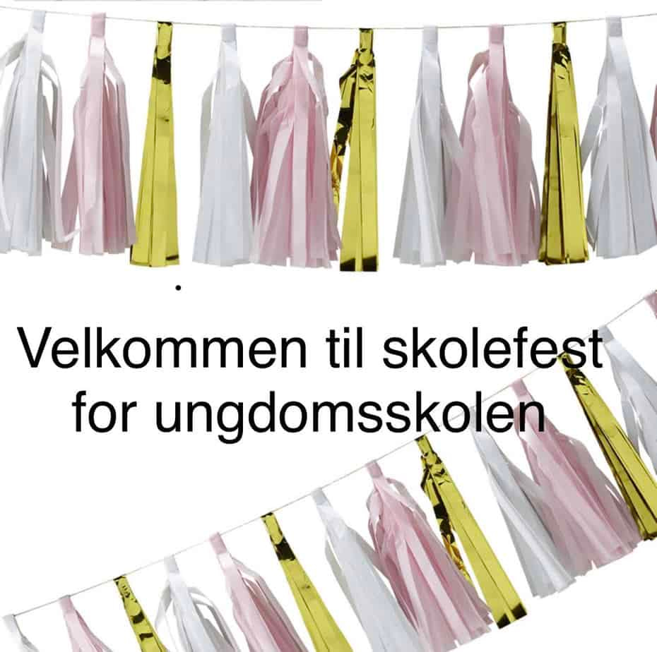 Featured image for “Velkommen til skolefest for ungdomsskolen på Oasen skole Strømme”