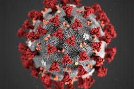 Featured image for “Informasjon vedrørende Koronavirus”